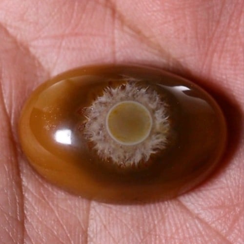 حجر عقيق سليماني هندي طبيعي أصلي بني عين فلور صفراء في المنتصف