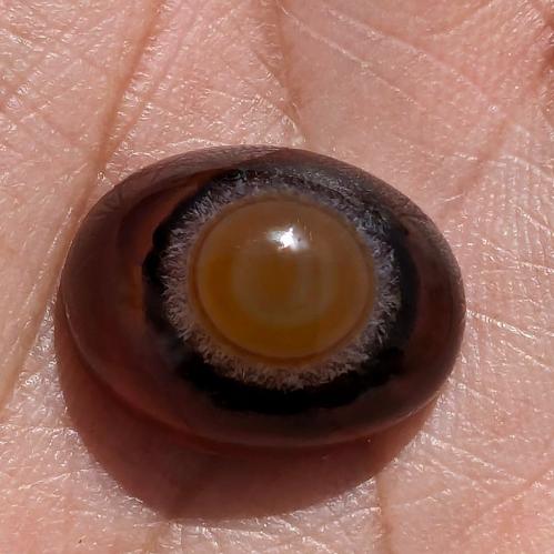 حجر سليماني هندي طبيعي فلور عين ذهبي محاطة بلون أسود ولون الحجر أحمر