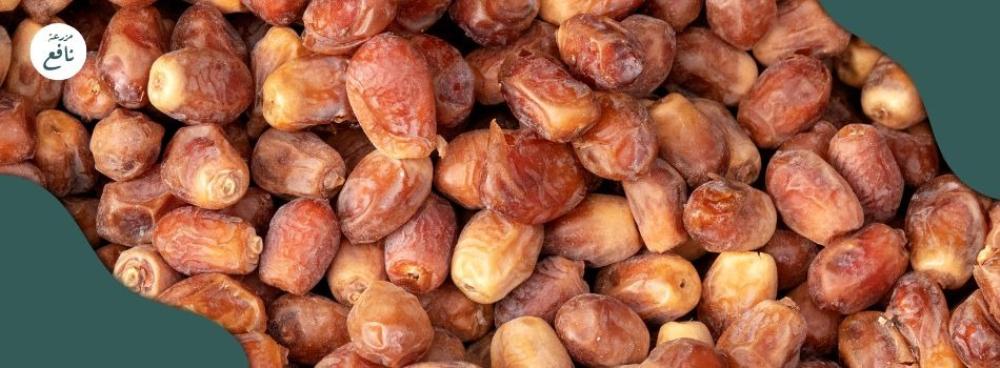 تمر صقعي كم سعره حرارية