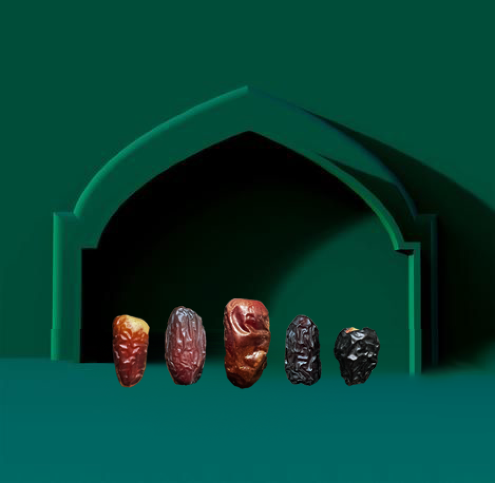 انواع مختلفه من تمور المدينة المنورة madinah dates