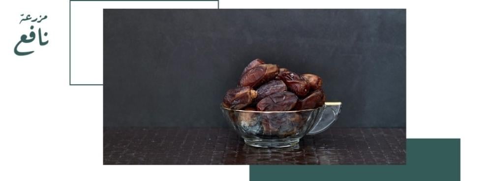 أفضل أنواع تمر صقعي المدينة – طعم الأصالة في كل لقمة!