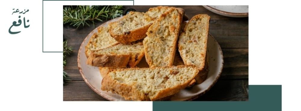 أفضل أنواع الشابورة الصحية للرجيم: الشابورة بالكمون وفوائدها في نظامك الغذائي