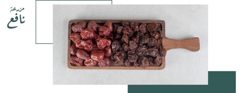 كيف تختار التمر الفاخر عند الشراء أونلاين من مزرعة نافع؟