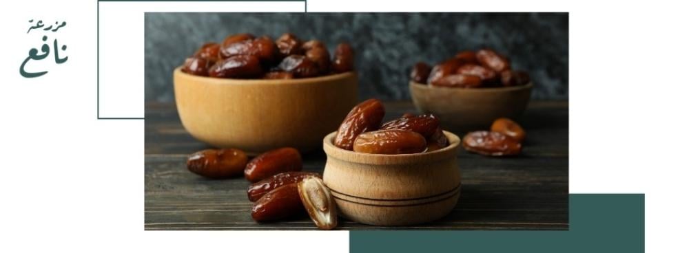 السعرات الحرارية في التمر وأنواعه المختلفة – مزرعة نافع