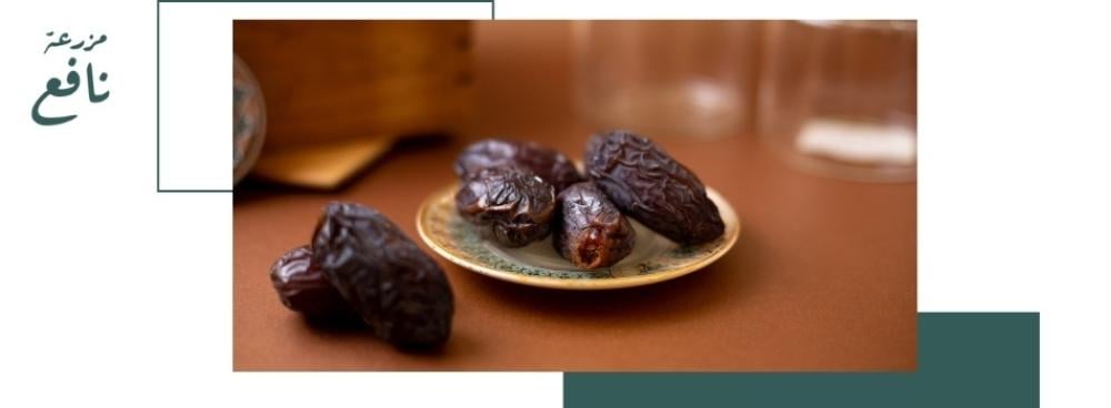 ما هي فوائد تمر عجوة المدينة الصحية والغذائية؟