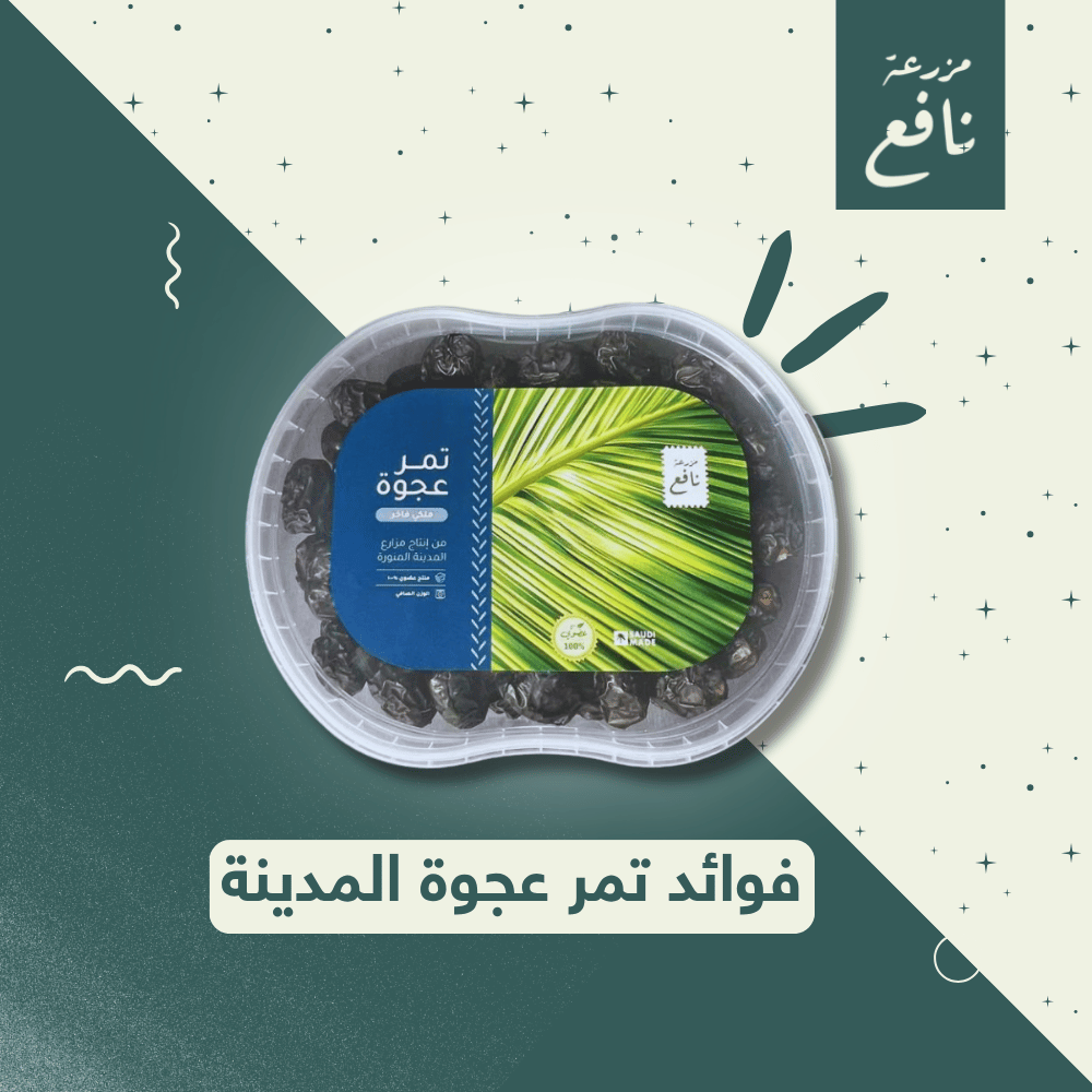 فوائد تمر عجوة المدينة