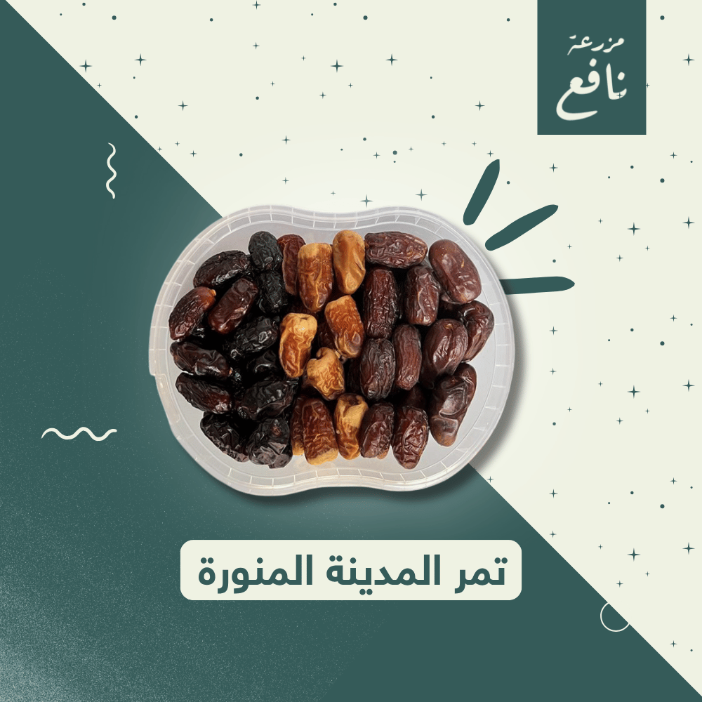 تمر المدينة المنورة