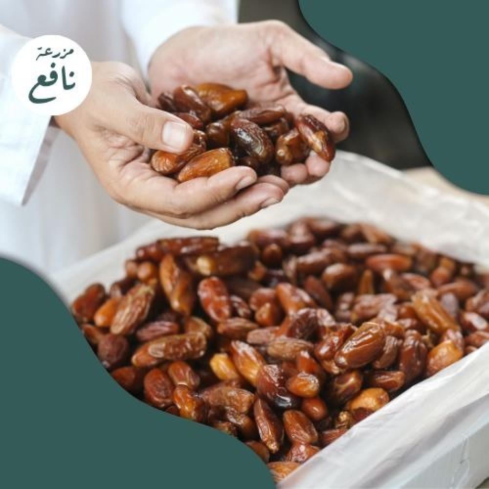 عجوة المدينة الأصلي
