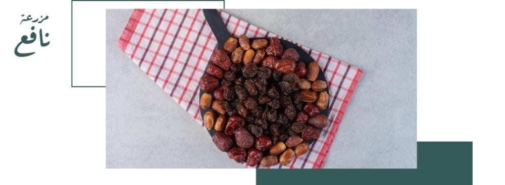 أهم فوائد تمور المدينة برمضان لصحة الجسم والطاقة