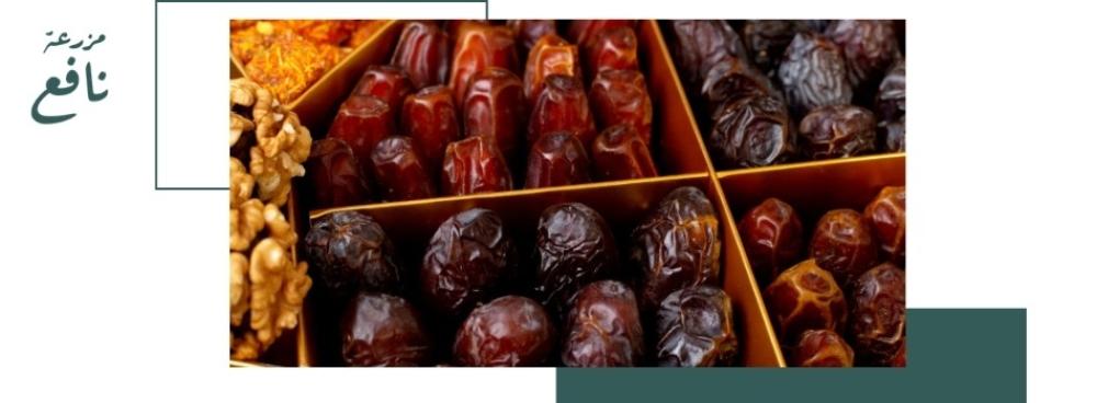 افضل انواع تمور المدينة صحياً: اختر التمر المثالي لنظامك الغذائي