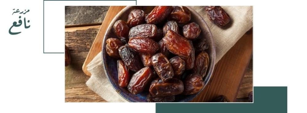 تمور السعودية الفاخرة