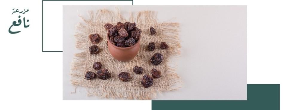 أفضل أفكار هدايا بمناسبة رمضان مع تمر فاخر من مزرعة تمور المدينة المنورة