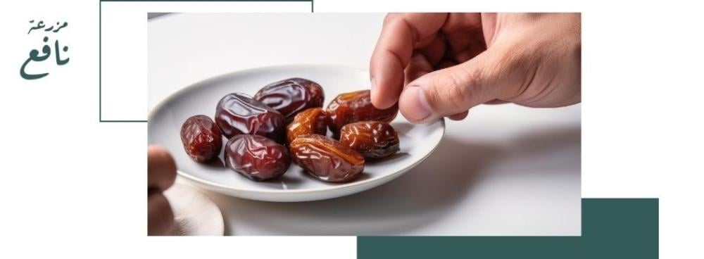 نسبة السكر في التمر الصقعي: ما هي وما تأثيرها على صحتك؟