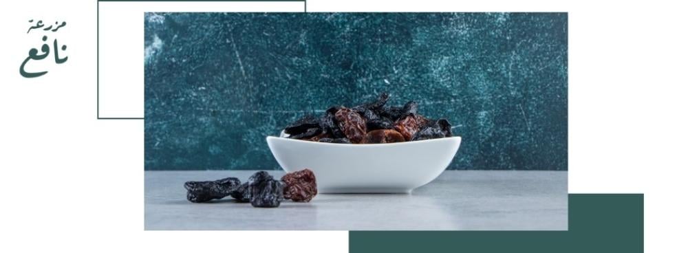 تمر صفاوي للضيافة: فخامة المذاق وأصالة الضيافة العربية