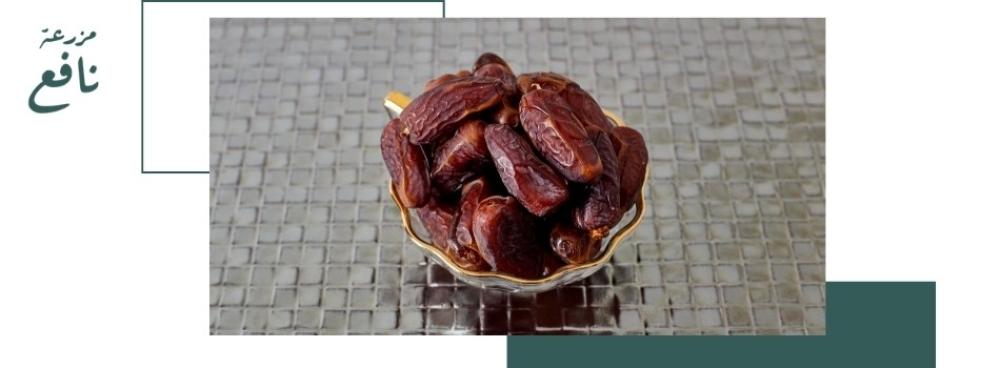 أفضل أنواع تمور المدينة المنورة: دليل شامل لاختيار التمر المناسب لك