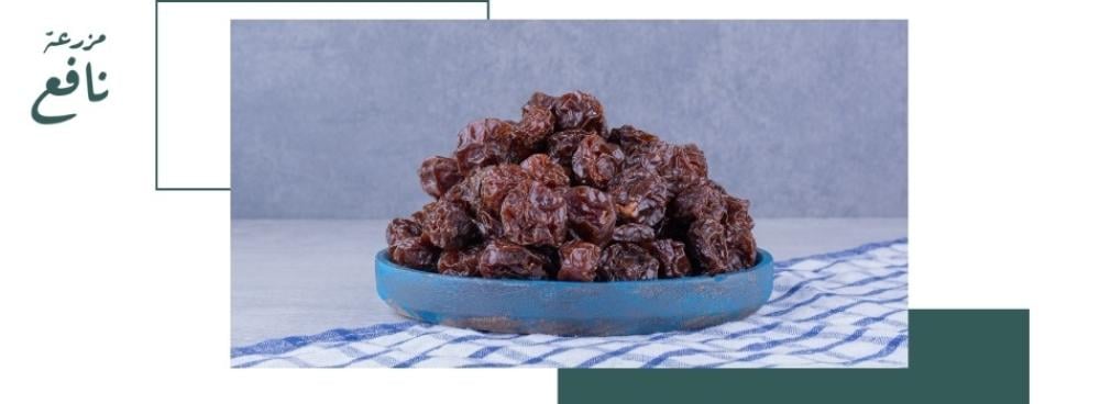 أفضل تمر عجوة المدينة الأصلي من مزرعة نافع – هدايا رمضانية مميزة تجمع بين الأصالة والفخامة