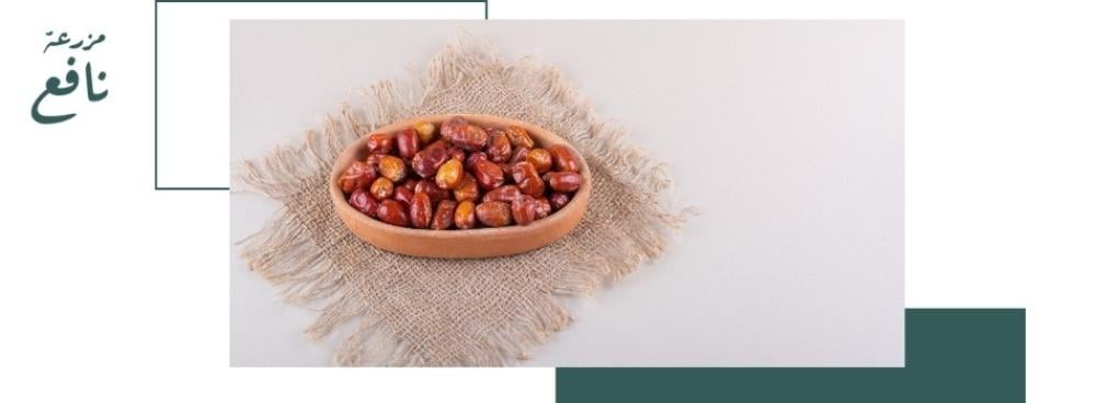 فوائد تمر الصقعي الفاخر للصحة العامة من تحسين الهضم إلى تقوية المناعة