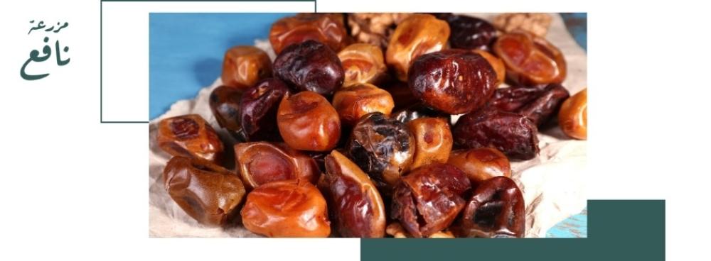 ما هي أفضل أنواع تمر عنبرة المدينة فاخرة المتوفرة في الأسواق السعودية؟