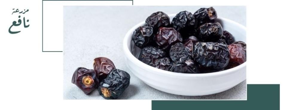 تصدير التمور من السعودية