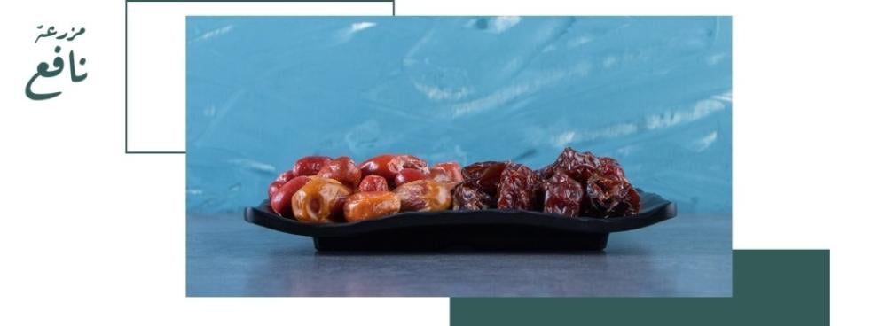 الفرق بين عجوة المدينة وأنواع التمر الأخرى: كيف تختار النوع المناسب من مزرعة نافع