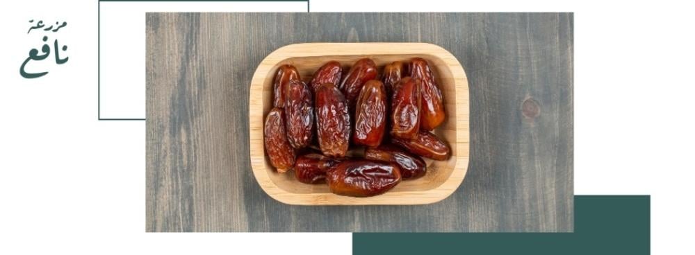 كم عدد السعرات الحرارية بالتمر؟ دليل شامل للسعرات الحرارية في التمر وفوائده في رمضان