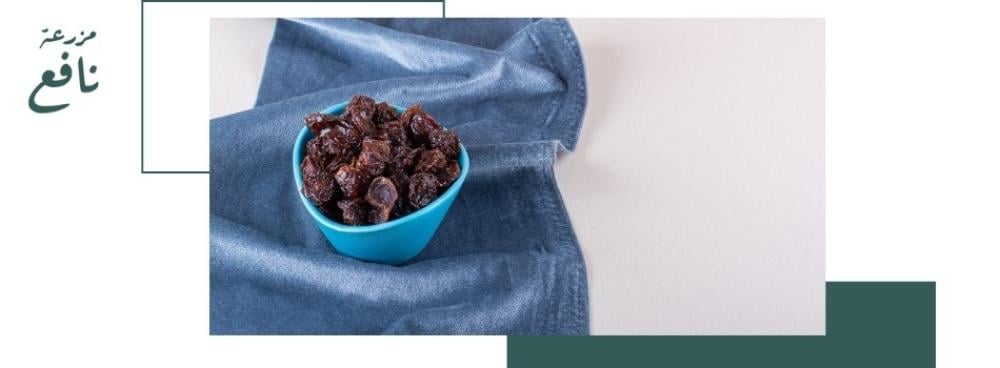 شراء تمر عجوة المدينة: غذاء طبيعي يعزز صحتك ويحسن تركيزك