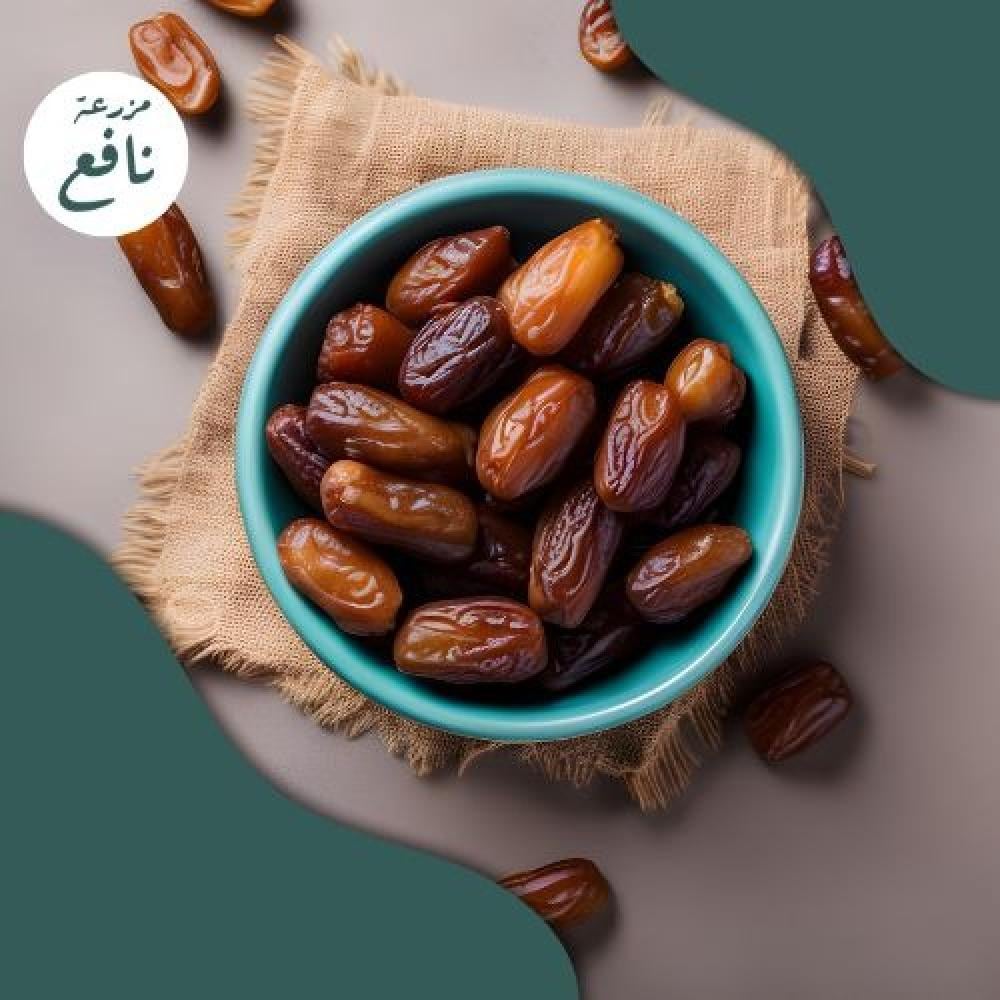 تمر صقعي المدينة