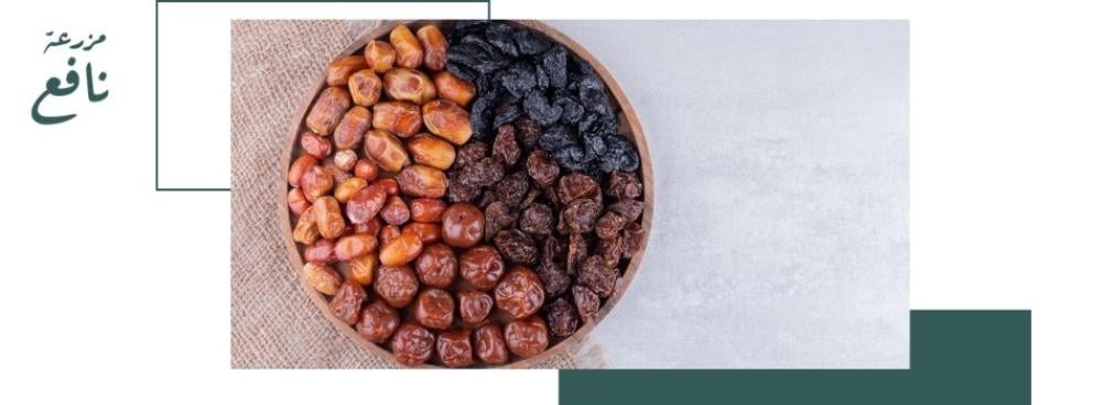 أفضل سحور بالتمر: لماذا يُعتبر التمر الخيار المثالي للصيام وشراء التمور بالجملة في السعودية؟