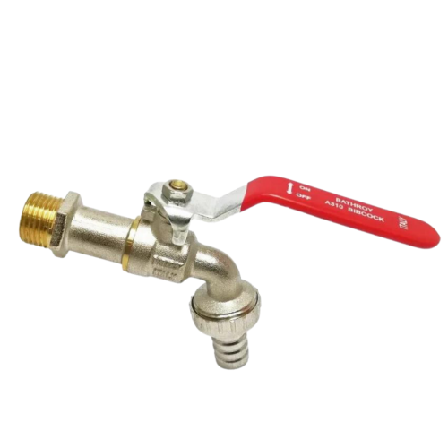 محبس زراعة باث روي ايطالي