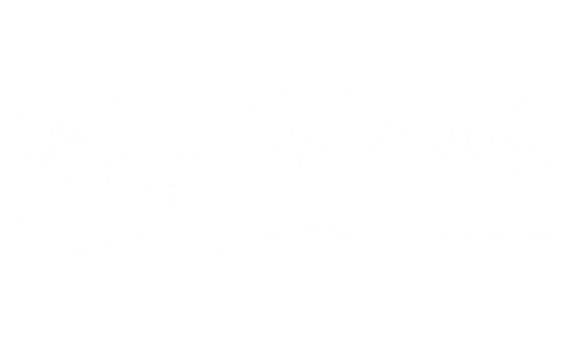 ستيرهـ | STEERA