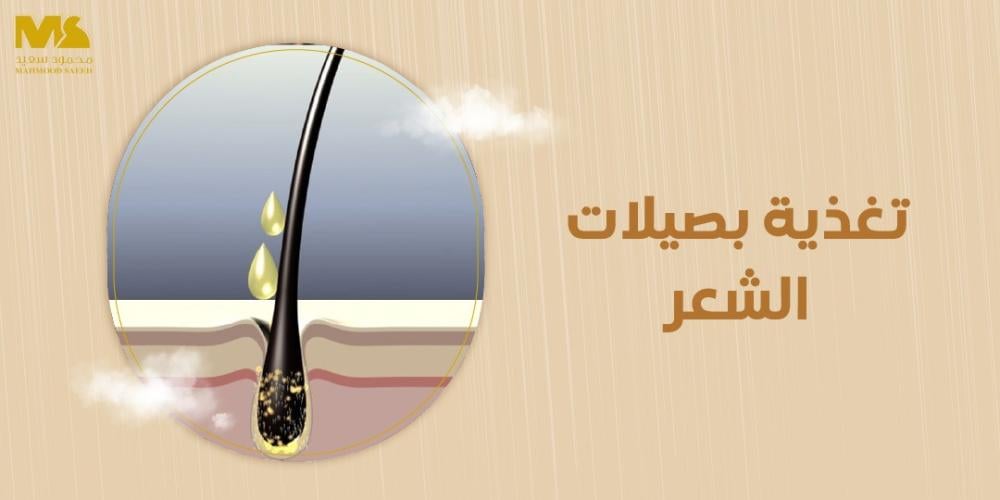 تغذية بصيلات الشعر