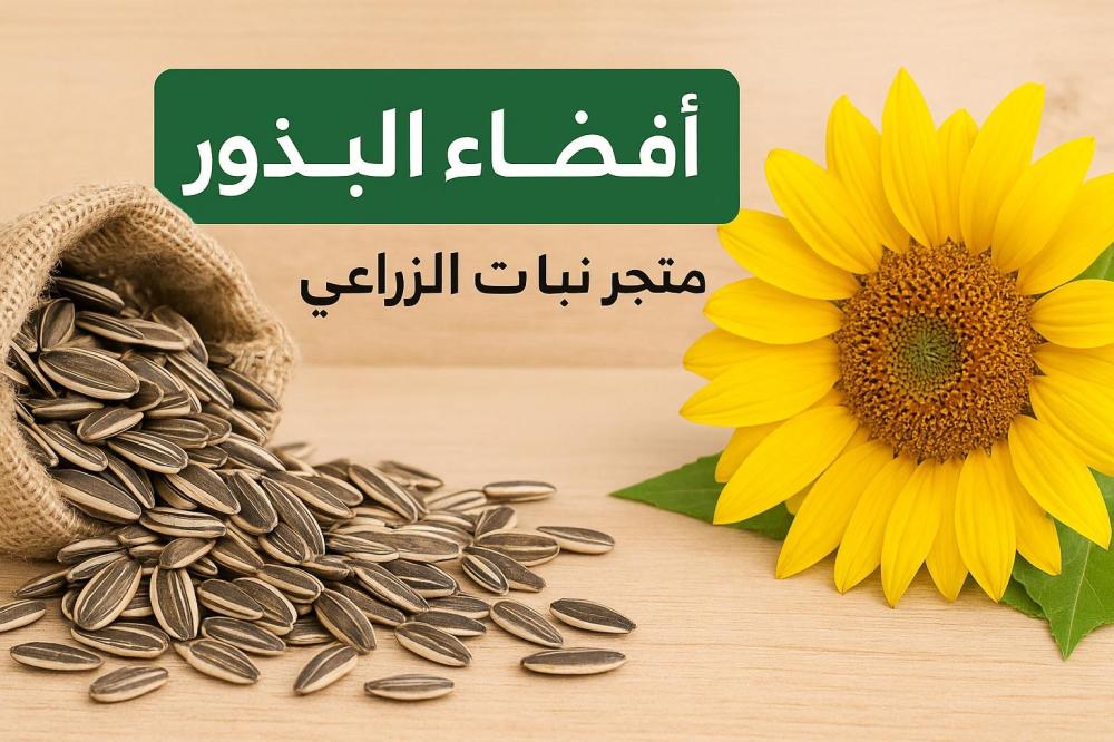 أفضل أنواع البذور الزراعية لحديقتك من متجر نبات الزراعي
