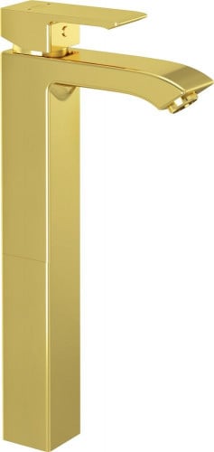 خلاط كلودي بروفايل طويل RAK14161-GO