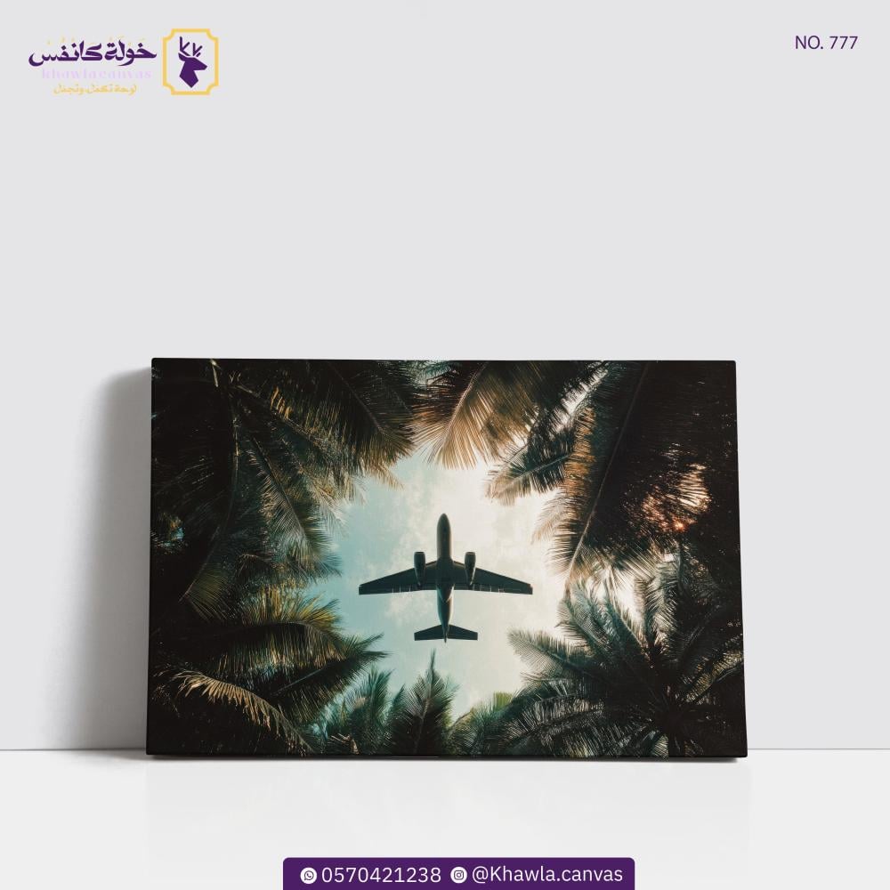 طائرة وسط النخيل