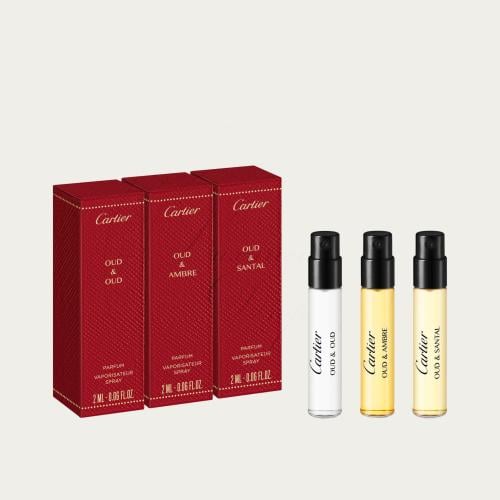 كارتير ليزور ڤواياجوز