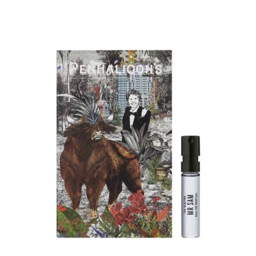 بلايزينج مستر سام