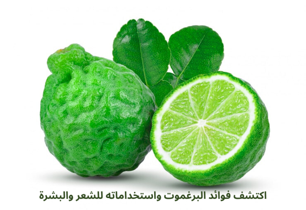 البرغموت | استخدامات البرغموت لصناعة منتجات العنايه