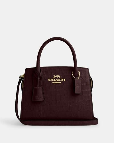 شنطة كوتش Coach