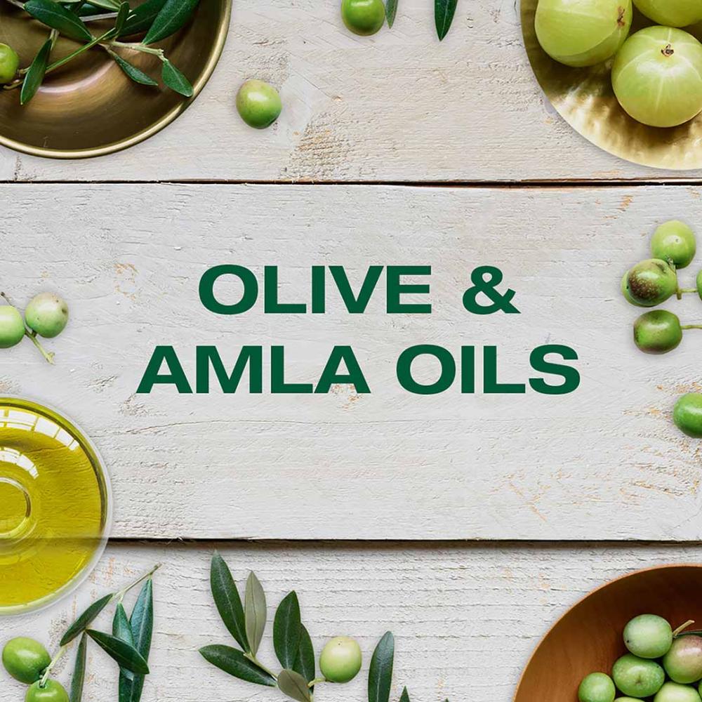 غارنيية الترادوكس شامبو فائق التغذية بالزيتون الاسطورى 400 مل