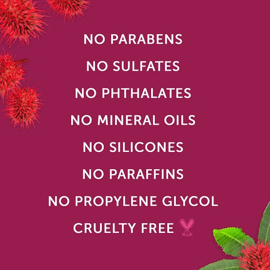 كانتو زيت فك تشابك الشعر بزيت الخروع وزبدة الكاكاو 117 مل