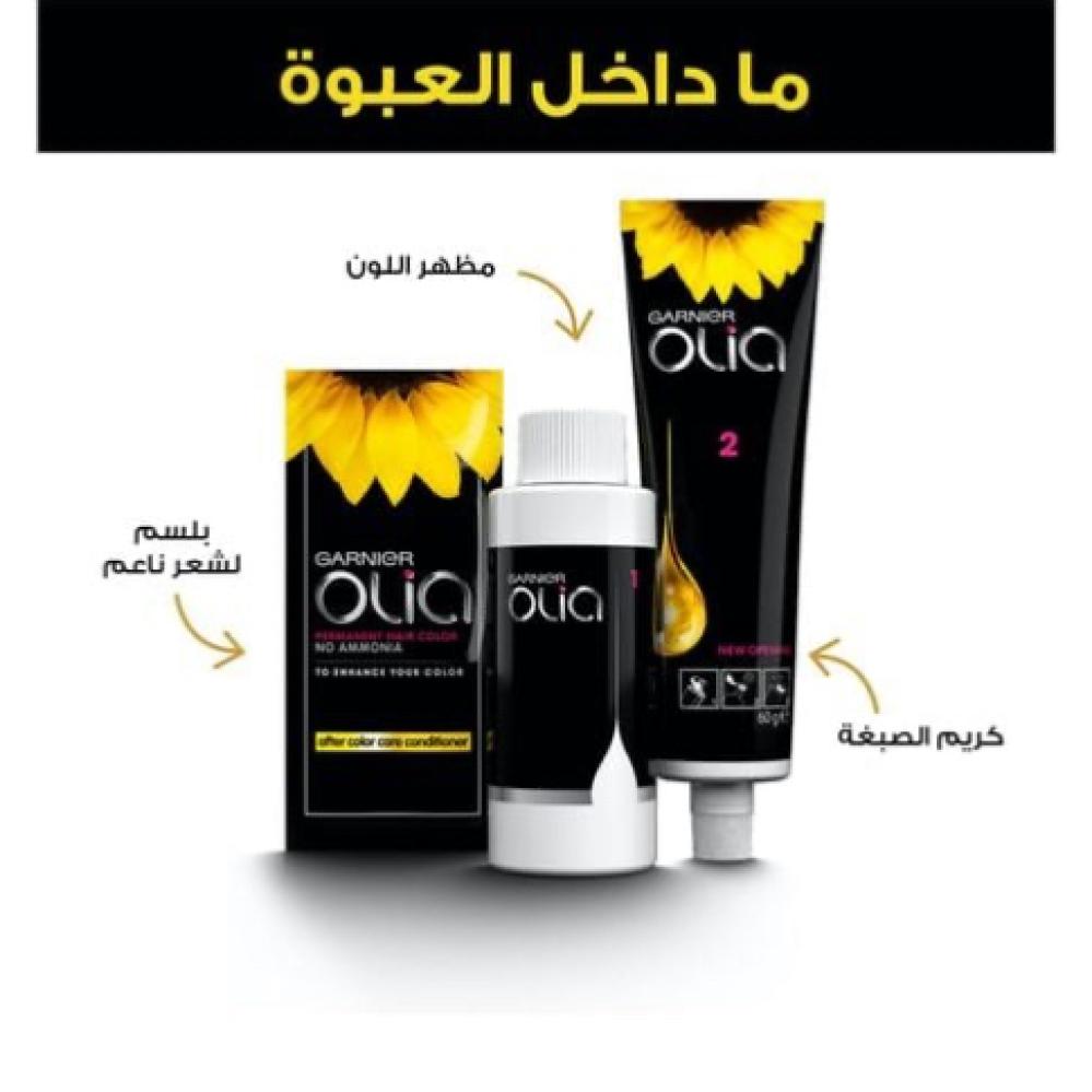 غارنيية اوليا صبغة الشعر بدون امونيا اشقر 8.0