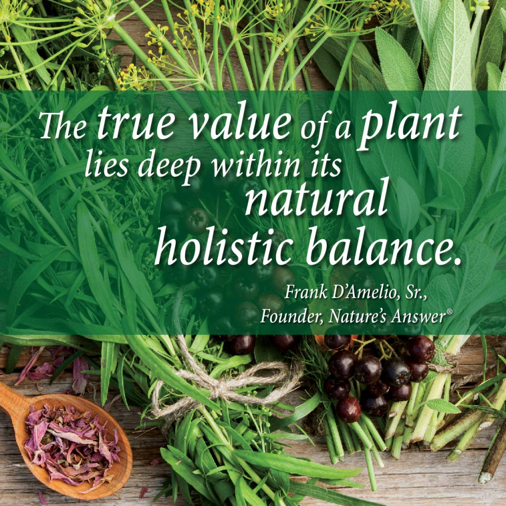 ناتشرز انسر زيت عرق سوس 2000  MG