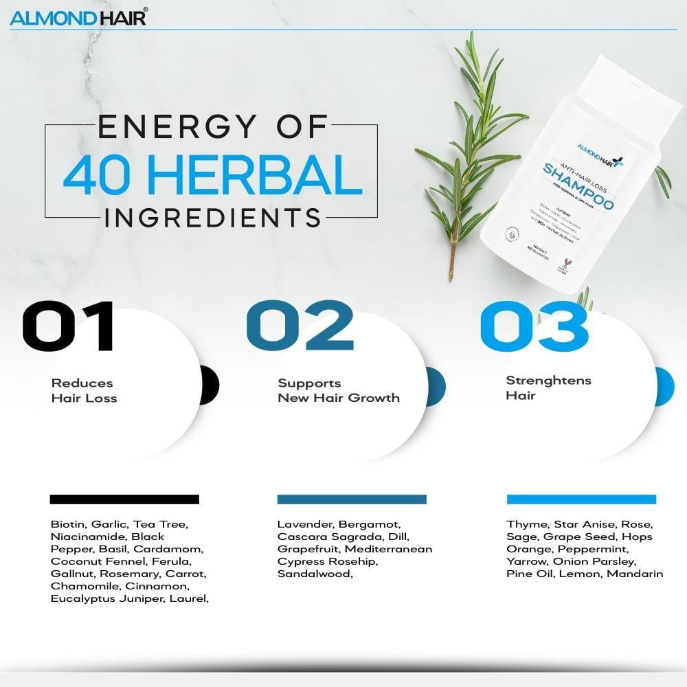 ذا الموند بيوتي الموند هير شامبو مضاد للقشرة للشعر العادي والجاف 300 مل