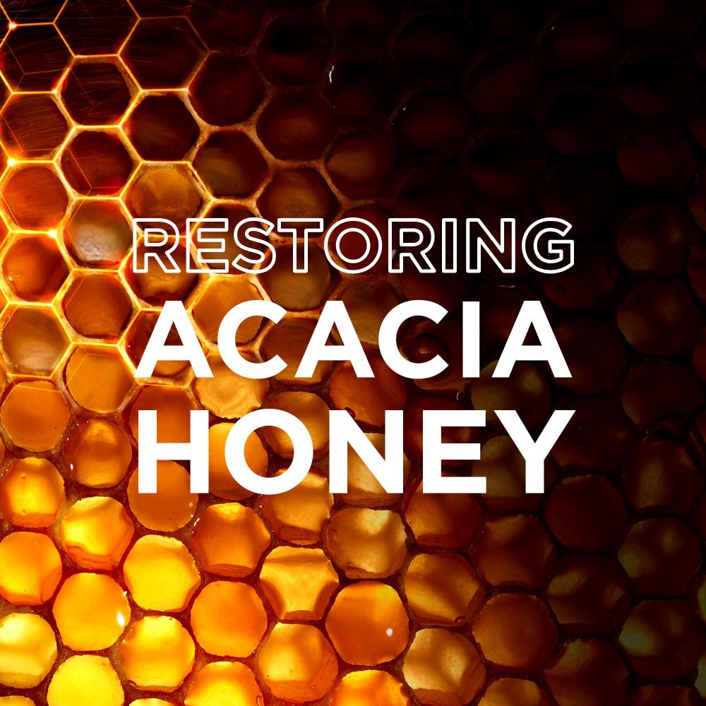 غارنيية الترادوكس بديل الزيت لتجديد بنية الشعر بالعسل  300 مل