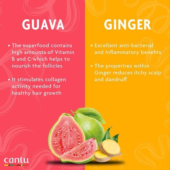 كانتو علاج قشرة فروة الرأس بالجوافة والزنجبيل 180مل