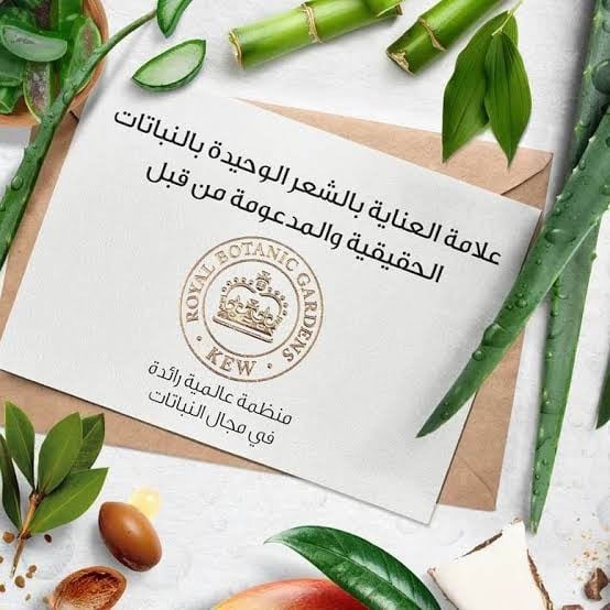 هيربال ايسنز مزيج زيت الشعر للترميم بزيت الارغان والصبار 100 مل
