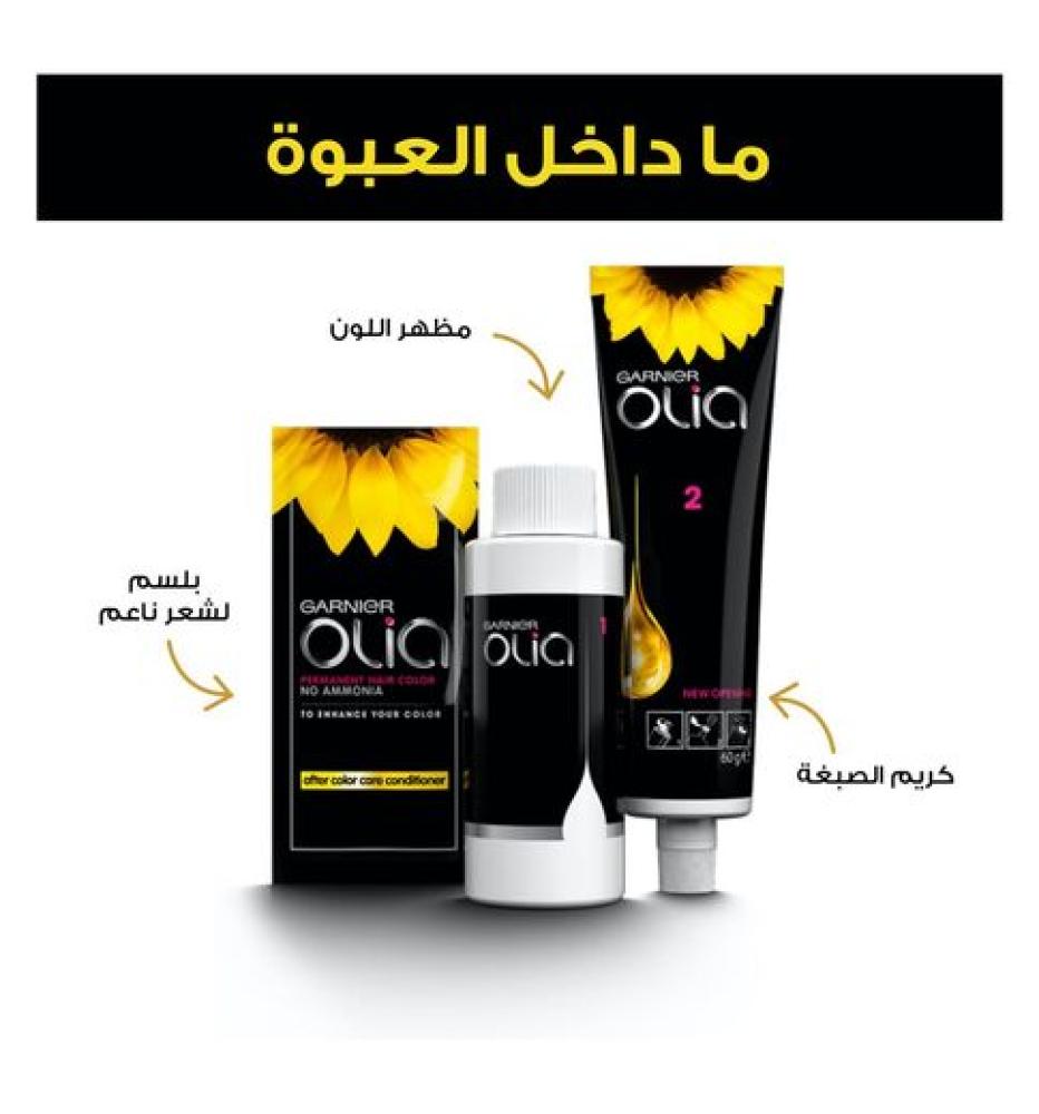 غارنيية اوليا صبغة الشعر بدون امونيا اشقر رمادي 8.1