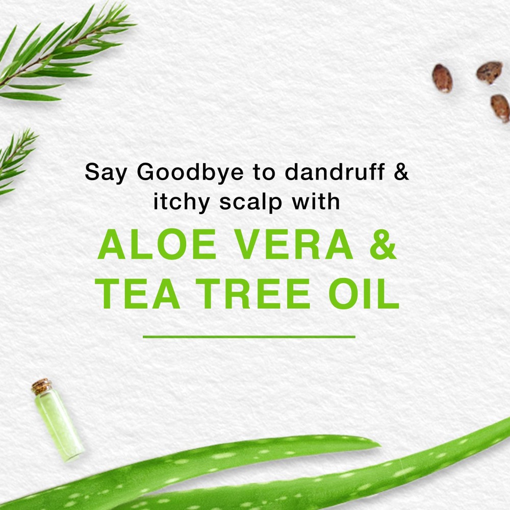 هيمالايا كريم للشعر ضد القشره بشجرة الشاي والالوفيرا 2×150 مل