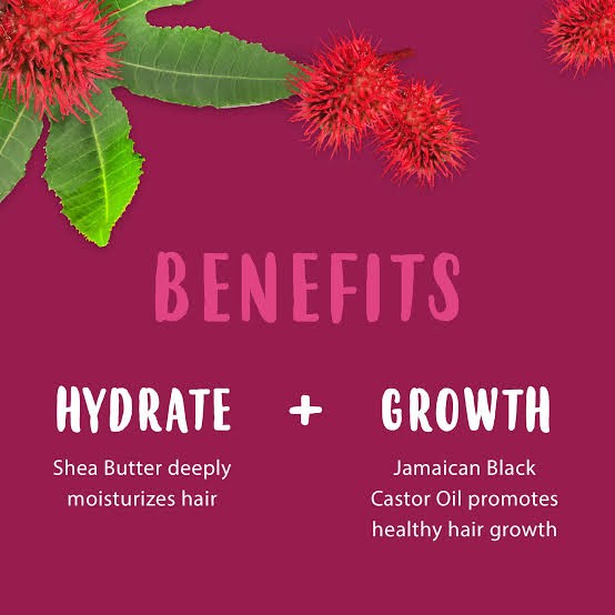 كانتو بخاخ زيت العناية بالشعر وفروة الراس بزيتن الخروع الجاميكي  118 مل