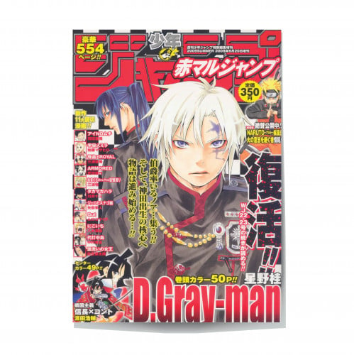 Single Poster: D.Gray-man